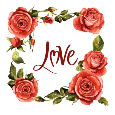 Kır çiçeği gül çiçek çerçeve izole bir suluboya tarzında.