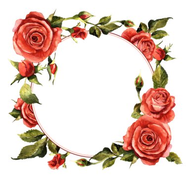 Kır çiçeği gül çiçek çelenk izole bir suluboya tarzında.