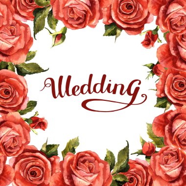 Kır çiçeği gül çiçek çerçeve izole bir suluboya tarzında.