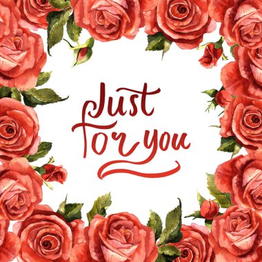 Kır çiçeği gül çiçek çerçeve izole bir suluboya tarzında.