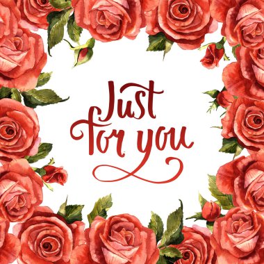 Kır çiçeği gül çiçek çerçeve izole bir suluboya tarzında.