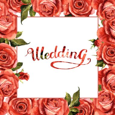 Kır çiçeği gül çiçek çerçeve izole bir suluboya tarzında.