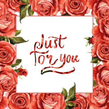 Kır çiçeği gül çiçek çerçeve izole bir suluboya tarzında.