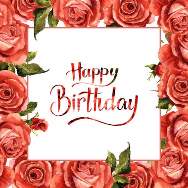 Kır çiçeği gül çiçek çerçeve izole bir suluboya tarzında.