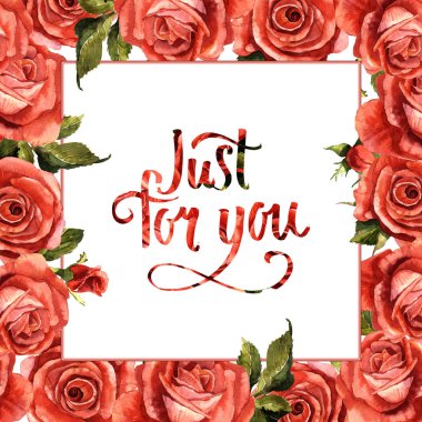 Kır çiçeği gül çiçek çerçeve izole bir suluboya tarzında.