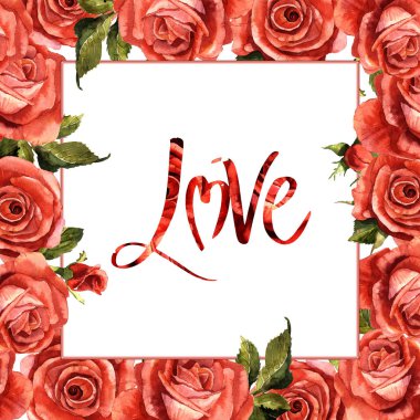 Kır çiçeği gül çiçek çerçeve izole bir suluboya tarzında.