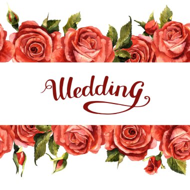 Kır çiçeği gül çiçek çerçeve izole bir suluboya tarzında.