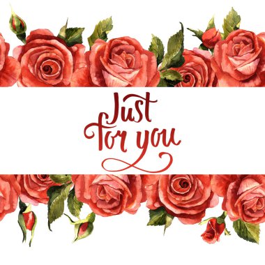 Kır çiçeği gül çiçek çerçeve izole bir suluboya tarzında.