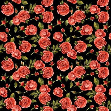 Kır çiçeği gül çiçek deseni izole bir suluboya tarzında.