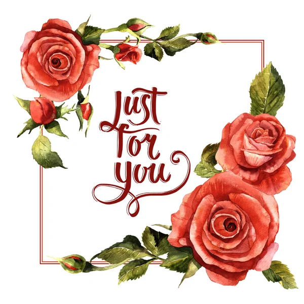 Kır çiçeği gül çiçek çerçeve izole bir suluboya tarzında.