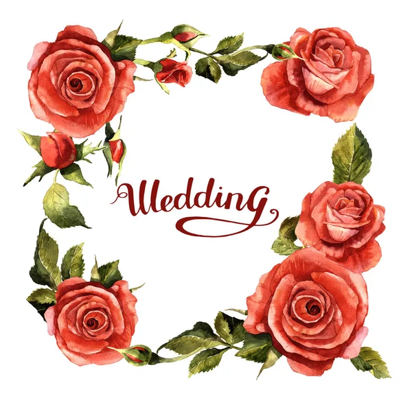 Kır çiçeği gül çiçek çerçeve izole bir suluboya tarzında.