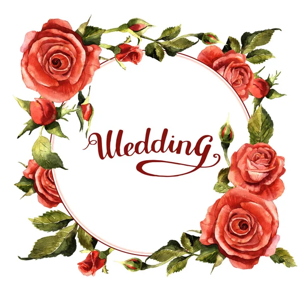 Kır çiçeği gül çiçek çelenk izole bir suluboya tarzında.