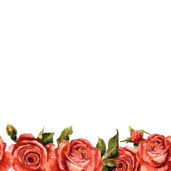 Kır çiçeği gül çiçek çerçeve izole bir suluboya tarzında.