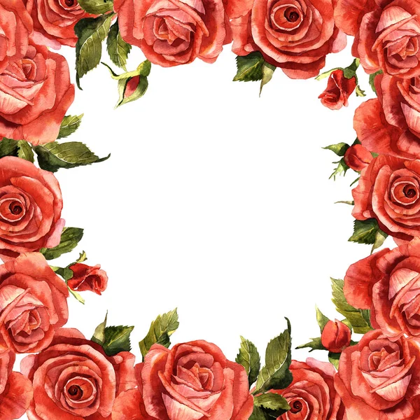 Kır çiçeği gül çiçek çerçeve izole bir suluboya tarzında.