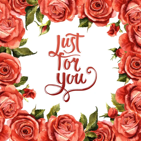 Kır çiçeği gül çiçek çerçeve izole bir suluboya tarzında.