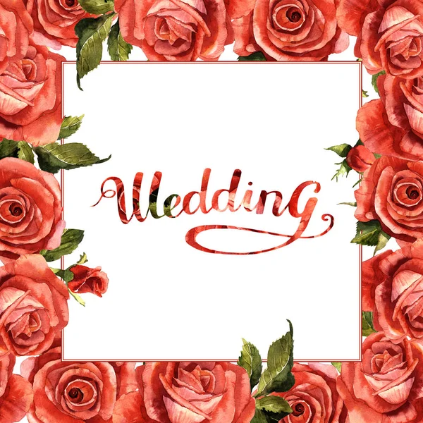 Kır çiçeği gül çiçek çerçeve izole bir suluboya tarzında.