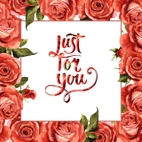 Kır çiçeği gül çiçek çerçeve izole bir suluboya tarzında.