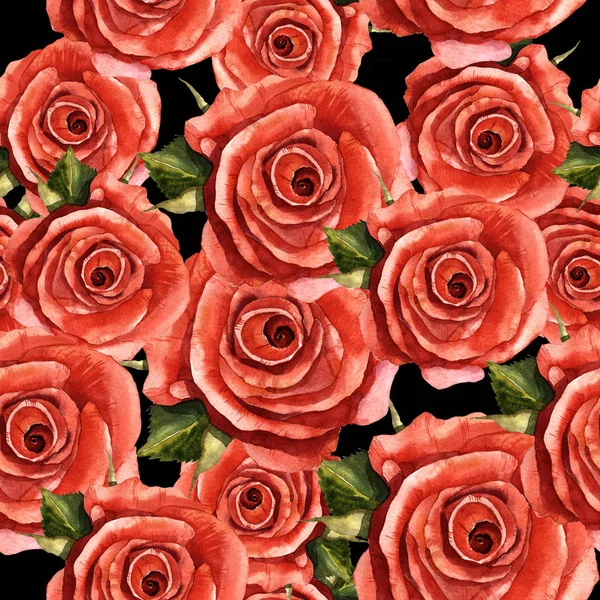 Kır çiçeği gül çiçek deseni izole bir suluboya tarzında.