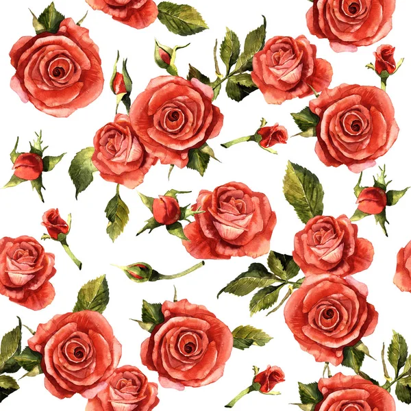 Дика квітка троянди квітковий візерунок в акварельному стилі ізольовані . — стокове фото