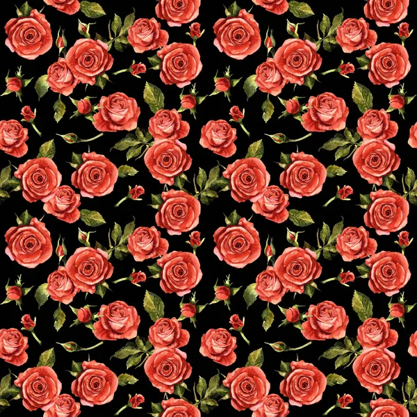 Kır çiçeği gül çiçek deseni izole bir suluboya tarzında.