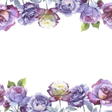 Kır çiçeği gül çiçek çerçeve izole bir suluboya tarzında.