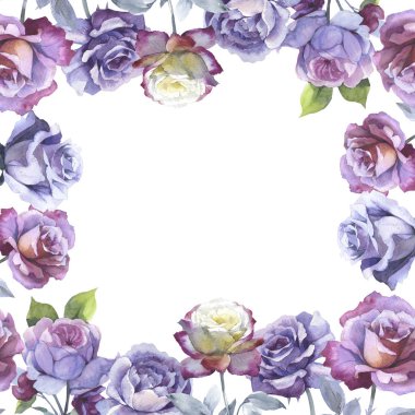 Kır çiçeği gül çiçek çerçeve izole bir suluboya tarzında.