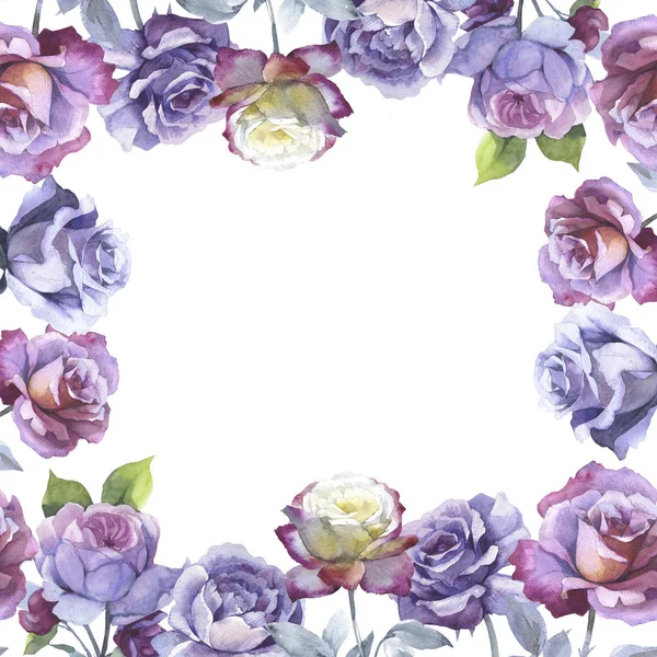 Kır çiçeği gül çiçek çerçeve izole bir suluboya tarzında.