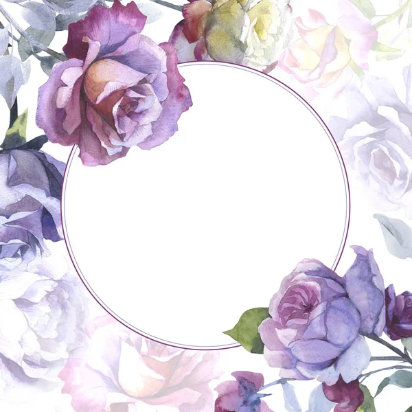 Flor silvestre rosa marco de flores en un estilo de acuarela aislado . —  Fotos de Stock