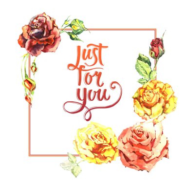 Kır çiçeği gül çiçek çerçeve izole bir suluboya tarzında.