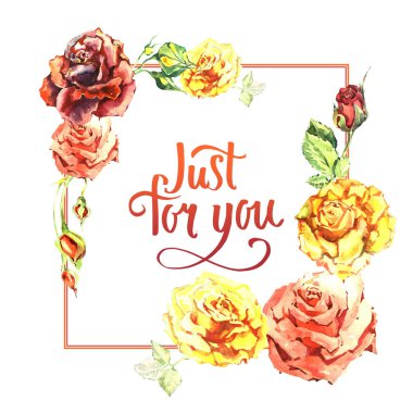 Kır çiçeği gül çiçek çerçeve izole bir suluboya tarzında.