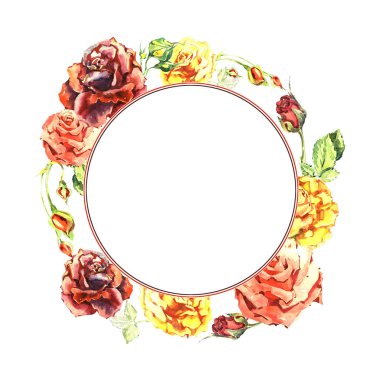 Kır çiçeği gül çiçek çerçeve izole bir suluboya tarzında.