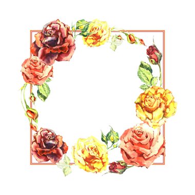 Kır çiçeği gül çiçek çerçeve izole bir suluboya tarzında.