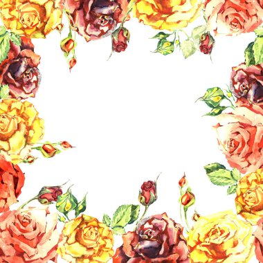 Kır çiçeği gül çiçek çerçeve izole bir suluboya tarzında.