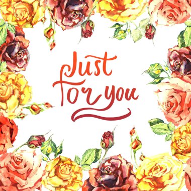 Kır çiçeği gül çiçek çerçeve izole bir suluboya tarzında.