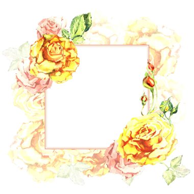 Kır çiçeği gül çiçek çerçeve izole bir suluboya tarzında.