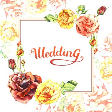 Kır çiçeği gül çiçek çerçeve izole bir suluboya tarzında.