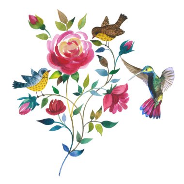 Kır çiçeği çiçek kuş colibri izole bir suluboya tarzında ile yükseldi.