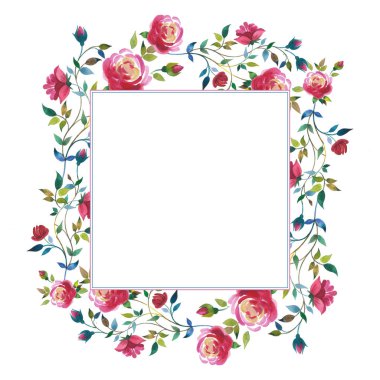 Kır çiçeği gül çiçek çerçeve izole bir suluboya tarzında.