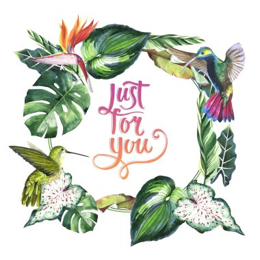 Tropikal Hawaii palmiye ağacı çerçeve izole bir suluboya tarzında bırakır..