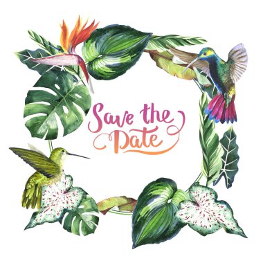 Tropikal Hawaii palmiye ağacı çerçeve izole bir suluboya tarzında bırakır..