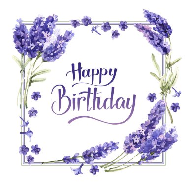 Kır çiçeği lavanta çiçek çerçeve izole bir suluboya tarzında.