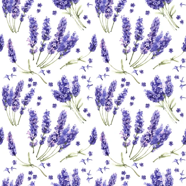 Flor silvestre patrón de flores de lavanda en un estilo de acuarela aislado . — Foto de Stock