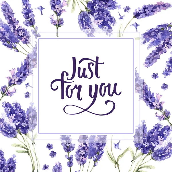 Armação de flor de lavanda de flores silvestres em um estilo aquarela isolado . — Fotografia de Stock