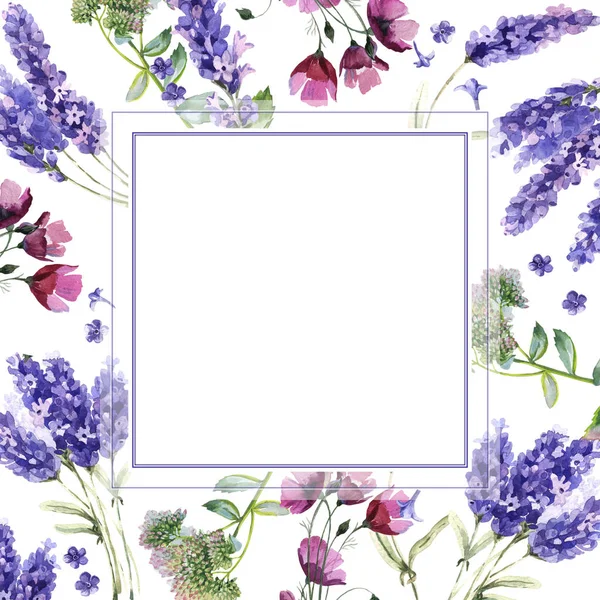 Flor silvestre marco de flores de lavanda en un estilo de acuarela aislado . — Foto de Stock