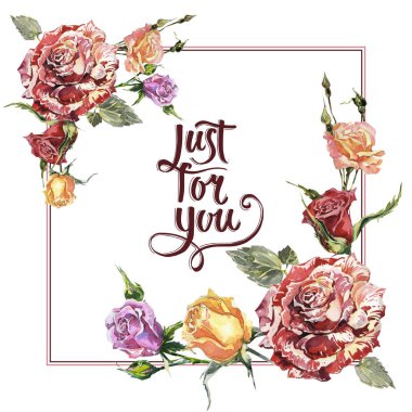 Kır çiçeği gül çiçek çerçeve izole bir suluboya tarzında.