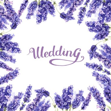 Kır çiçeği lavanta çiçek çerçeve izole bir suluboya tarzında.