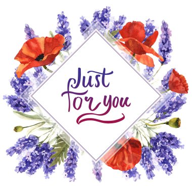 Kır çiçeği lavanta çiçek çerçeve izole bir suluboya tarzında.