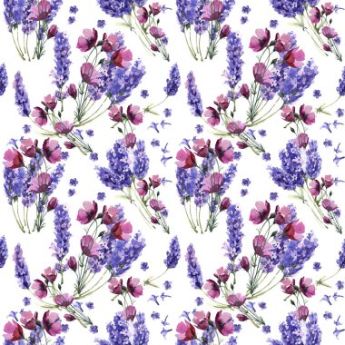 Kır çiçeği lavanta çiçek deseni izole bir suluboya tarzında.