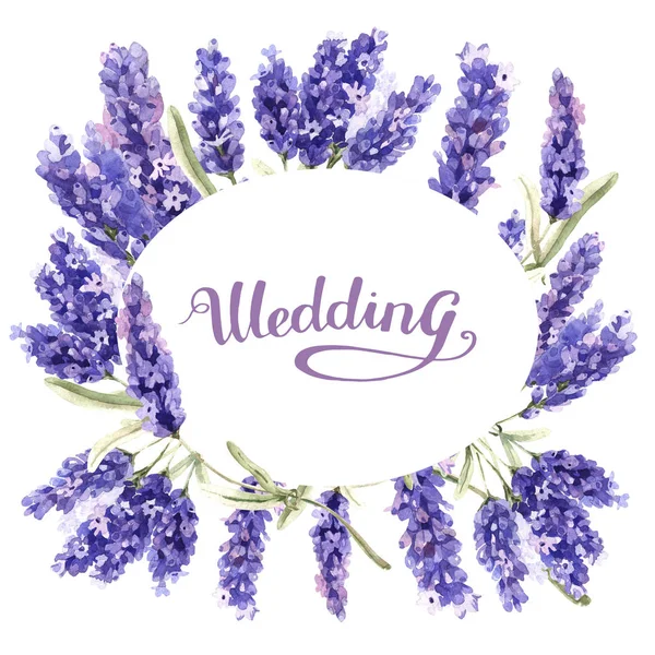 Armação de flor de lavanda de flores silvestres em um estilo aquarela isolado . — Fotografia de Stock