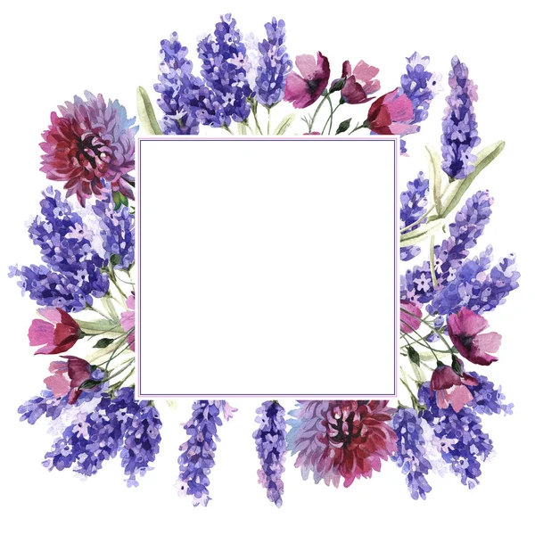 Armação de flor de lavanda de flores silvestres em um estilo aquarela isolado . — Fotografia de Stock